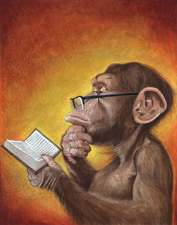 monkey reading a book